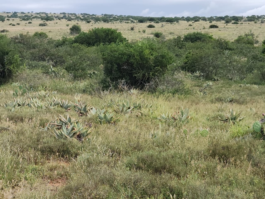 Commercial Property for Sale in Somerset East Rural Eastern Cape